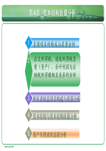 第四章资本结构质量介绍