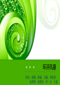 环评风暴文稿