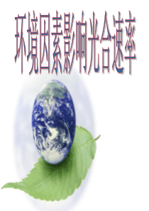 环境因素对光合作用的影响用