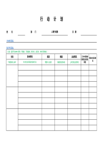 行动计划