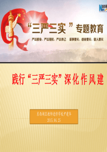 三严三实”专题党课
