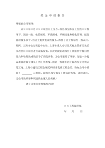 奖金申请报告