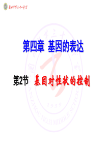 基因对性状的控制(宋志真)