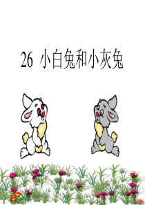 北京版小白兔和小灰兔完整版3