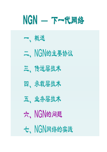 NGN存在的问题