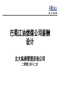 北大纵横—巴蜀江油燃煤巴蜀江油燃煤公司薪酬设计
