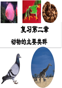 动物主要类群