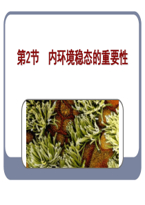 第2节内环境稳态的重要性(2)