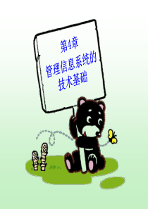 第4章_管理信息系统的技术基础概要