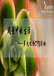 多肉拼盘PPT