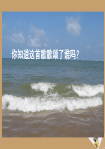 在大海中永生ppt