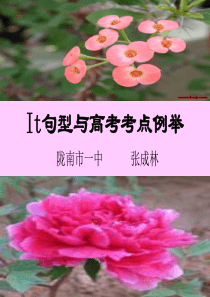 It句型与高考考点例举