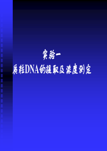 质粒的提取及浓度的测定
