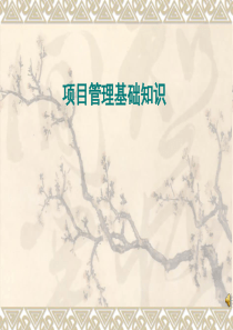 项目管理基础资料