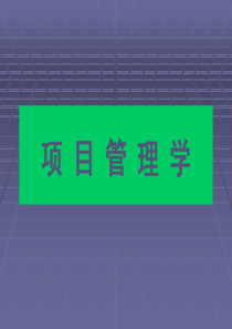 项目管理学