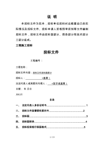 正式投标标书文件范例