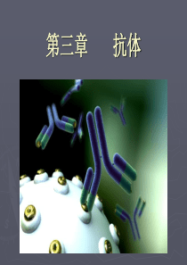 第三章抗体-2