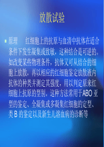 放散试验