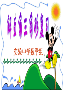 第23章-解直角三角形复习