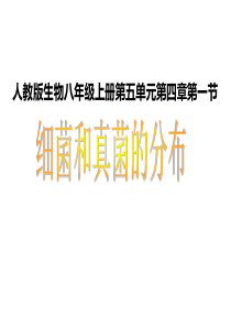 第四章第一节细菌和真菌的分布+新人教版(49张)介绍