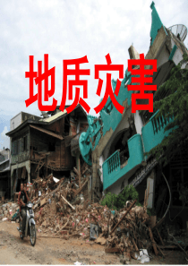 地质灾害(2014)