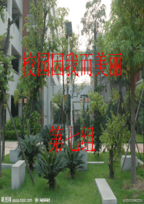 校园因我而美丽