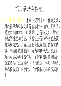 第六章 转移性支出(财政学,魏学辉)