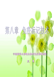 第八章  免疫标记技术