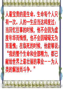 钢铁是怎样炼成的ppt