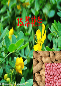 车身修复试题及参考答案