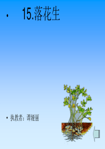 落花生ppt课件[1]