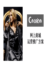 某品牌内衣网站运营推广方案