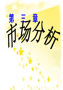 99第三章 市场分析