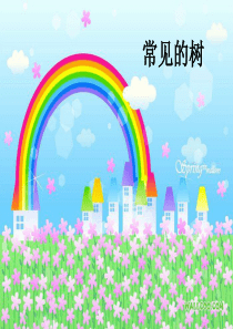 常见的树