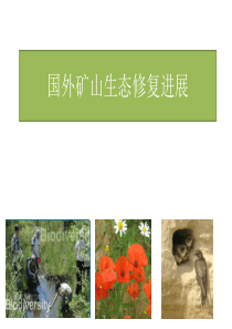 国外矿山生态修复进展