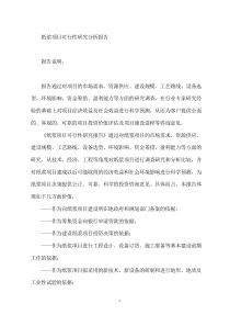纸浆项目可行性研究分析报告
