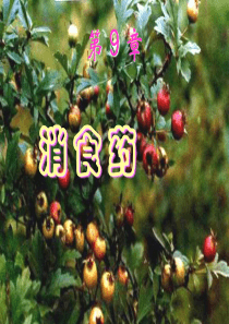 第九章消  食  药