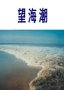 柳永《望海潮》优秀课件