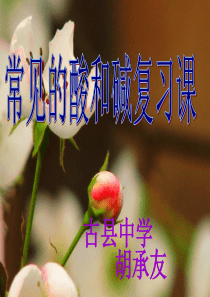酸碱复习课课件
