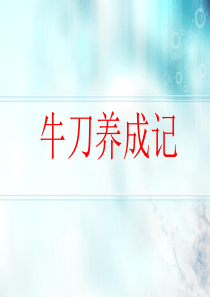 中考断句复习(绝对实用)