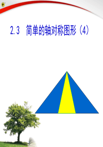 372.3简单的轴对称图形(4)