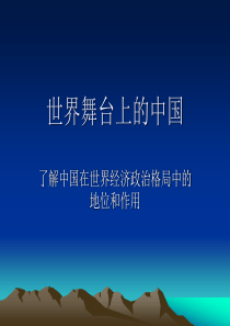 二、世界舞台上的中国标准课件1