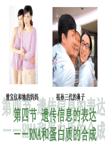 遗传信息的表达