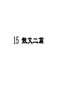 8永久的生命