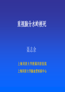 分水岭脑梗塞