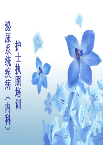 泌尿系统护士执照培训(肾内)