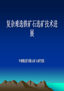 复杂难选铁矿石选矿技术进展(孙炳全)