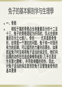 兔子的基本解剖学与生理学