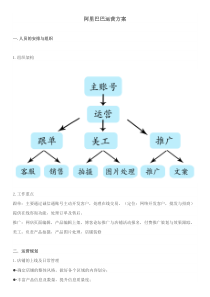 阿里运营方案