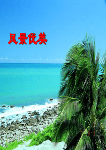 22.《富饶的西沙群岛》公开课PPT课件